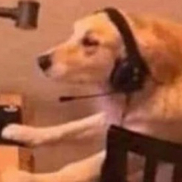 Meet your Posher, Kai - Picture 1 of 1